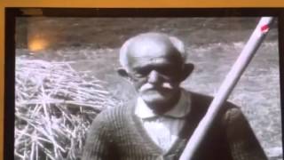 Mojkovacka bitka- Milisav Radevic