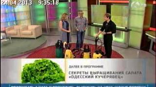 Мойки высокого давления (автомойки) в телепередаче Домоводство на 6ТВ