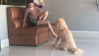 Girl treats her dog