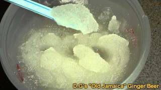 Ginger Beer - Frozen with Slush Machine (HD-1080)