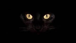 Horror segment FM MP3 হরর সেগমেন্ট ভৌতিক mp3(19)