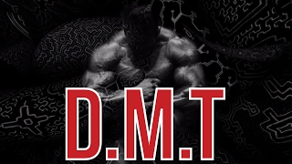 DMT SHOWED ME THE TRUE NATURE OF REALITY | Dorian Yates on psychedelic drugs | London Real