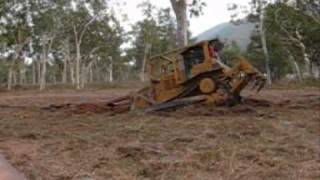 Tree Clearing With A Cat D6 Dozer