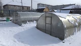 Ранней высадки томатов в этом году не будет! Обзор огорода и теплиц 16 марта 2024 года. Зима!