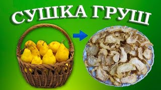 Сушка груш | Сушеные груши в домашних условиях