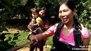 Picking Apple with the Filipina friends and Family !