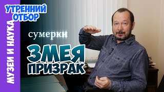 Исследования сумеречной зоны и змея-призрак. Игорь Фадеев