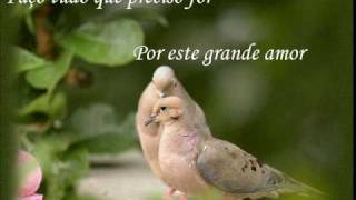 Desde o Primeiro Momento-Pamela