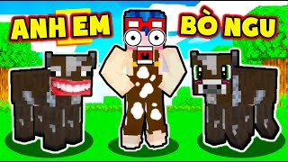 PHONG CẬN SỐNG CÙNG GIA ĐÌNH ANH EM BÒ NGU NGỐC NHẤT LÀNG HERO TEAM*MÈO SIMMY KAMUI SAMMY PHÁT KHÓC
