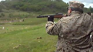 PPS 43