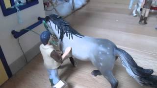 Film Schleich Le Haras de la Perle Verte - Présentation du centre équestre