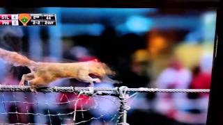 Return of Rally Squirrel!!