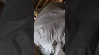 Puistevill Parock kivivill käsitsi