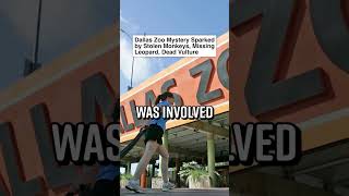 Monkey-Stealing Zoo Suspect Caught at the Aquarium #Shorts
