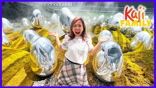 TeamLAB Planets DIGITAL ART Fun Experience in JAPAN!