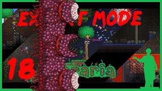 Terraria [1.3] Expert Mode #18 Стена Плоти!