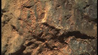WATSON zooms in on Martian rocks