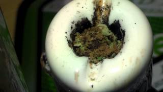 MeltShot ft GSC