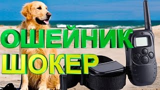 Ошейник шокер для дрессировки и воспитания собак