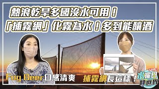 熱浪乾旱多國沒水可用！「捕霧網」化霧為水！多到能釀酒 | 水曜日聊世界ep44精華