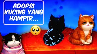 INI KUCING HAMPIR... ???????? ( DRAMA KUCING LOREN DAN HITAM )