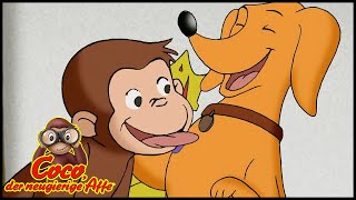 Coco der Neugierige Affe ?218 Hektor, der Königshund ? Ganze Folgen ? Cartoons für Kinder? Staffel 2