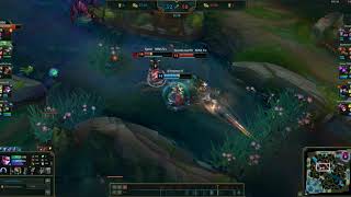 Vayne