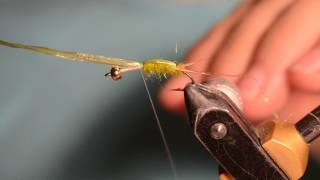 Мушка для ловли хариуса и не только (Stonefly nymph)