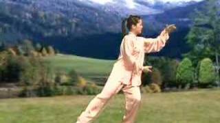 Combined Taijiquan 48 Forms