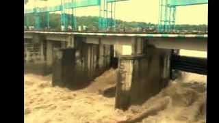 Flood in Koshi River 2014