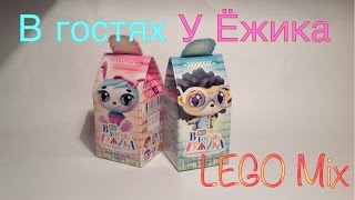 Р N17 - В гостях у Ёжика - коробочки с игрушкой (Vitamin Toys)