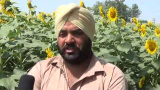 kishan lakhwinder singh hareokala khanna 1