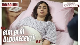 Meral’in tek umudu kardeşleri! - Kırgın Çiçekler 100.Bölüm