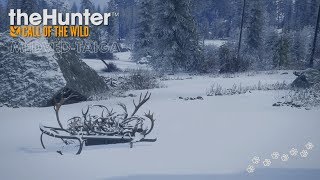The Hunter: Call of the Wild. Приключения двух "ненцев" в сибирской тайге