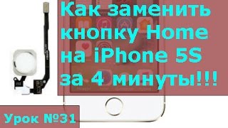Замена кнопки home на iPhone 5S, инструкция как своими руками заменить кнопку хоме на айфоне 5S