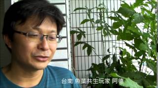 Gogreen.tw「阿德的魚 菜共生(Aquaponics)-養魚兼種菜」專訪