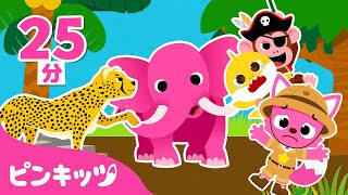 隠れたベイビーシャークを探そう | サメかぞくとかくれんぼ | 知育動画 | 赤ちゃんが喜ぶ動画 | ピンキッツ・ベイビーシャーク