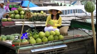 thuong hoai mien tay ( thieu dao )