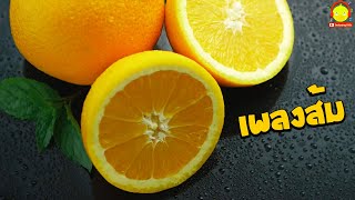 เพลงส้ม Orange song