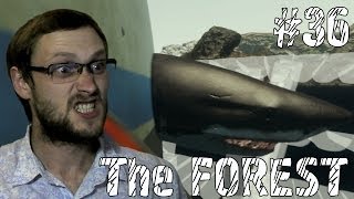 The Forest Прохождение ► ОХОТА НА АКУЛ ► #36