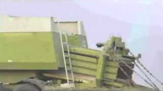 Sponge Bob's birth