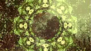 Angus Stone - Clouds Above
