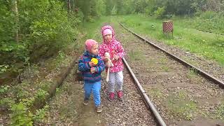 Нашли заброшенную железную дорогу. Очень красивое место для фото сессий.