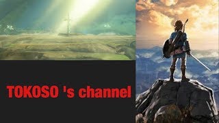 #14『ゼルダの伝説 BREATH OF THE WILD』巨大迷路踏破したい＆祠チャレンジ