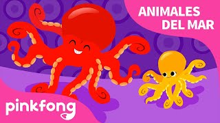 Pulpo | Animales del Mar | Pinkfong Canciones Infantiles