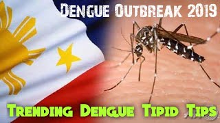 Trending Dengue Tipid Tips at Home | Dengue Outbreak in the Philippines 2019 | Update | Baid Channel