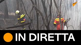 Continuano gli incendi in #Grecia