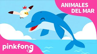 Delfín | El Delfín Cantante???? | Animales del Mar | Pinkfong Canciones Infantiles