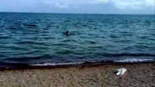 Пацан без плавок. Boy without swimming trunks .Hombre sin calzoncillos de baño