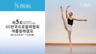 korea Ballet 2015 한국프로발레협회 발레캠프  갈라공연 차이코프스키 파드되  korea ballet